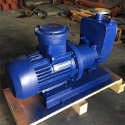 不锈钢自吸式黄色网站麻豆如何避免操作时出错