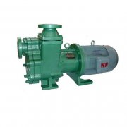 氟塑料立式黄色网站麻豆都有哪些