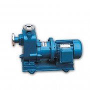 自吸黄色网站麻豆的发展历程